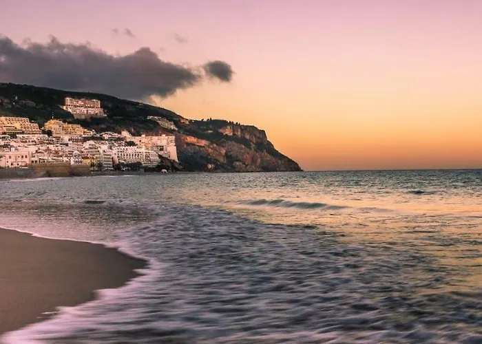 Felp 1006 Διαμέρισμα